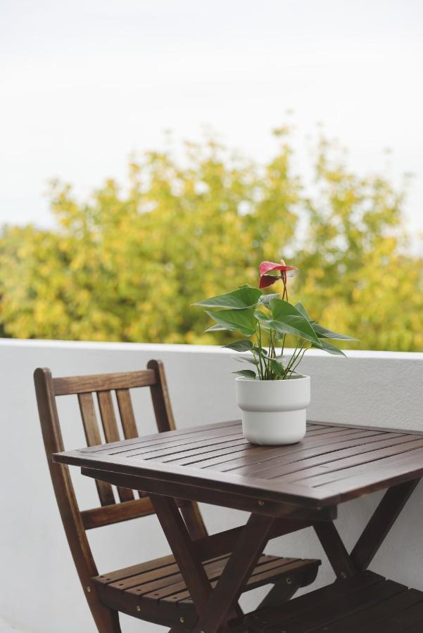 شقة Boavista Sunlit Duplex With Terrace بورتو المظهر الخارجي الصورة